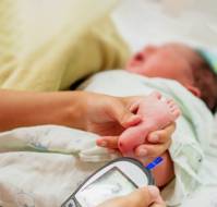 Sustained Neonatal Hypoglycemia Profoundly Impacts Neurodevelopment 