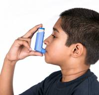 Association of Dietary Fatty Acids with Asthma in Indian School Children