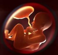 Early Pregnancy PAPP-A Levels Are Superior Predictors of Hypertensive Disorders
