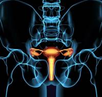 Pelvic Exenteration for Recurrent Gynecologic Malignancy: A Study of Outcomes and Predictors