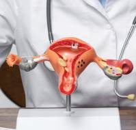 Risk Factors for Primary Pelvic Organ Prolapse and Recurrence: An Updated Systematic Review and Meta-Analysis