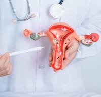 Unmasking the Risks of PCOS: A Cross-Sectional Insight