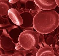 Tackling Iron-Deficiency Anemia in Indian Women and Girls – A Call for Targeted, Evidence-Based Strategies