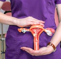 Decoding a Rare Ovarian Entity: Clinical and Pathological Insights into Sclerosing Stromal Tumor (SST)