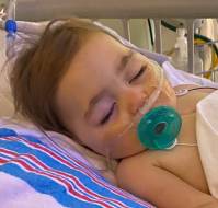 A Cobra Bite Mimicking Coma in a 2-year-old