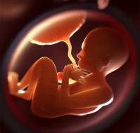 Investigating Placental Abnormalities and Blood Flow in Uteroplacental Insufficiency