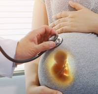 A New Marker for Late Pregnancy Dating: Fetal Kidney Length