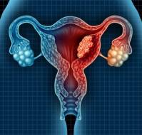 Endometrial Carcinoma in a Gravid Uterus: A Case Report