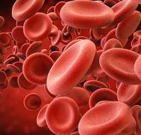 Iron Matters: Policy Shifts to Combat Anemia in Indias Women and Girls