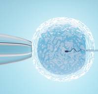 Opt-IVF Improves Outcomes in Poor Responders by Enhancing Clinical Pregnancy Rates