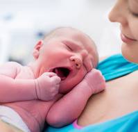 Clinical Utility of WHO-Modified and Paperless Partographs in Labor Monitoring