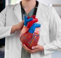 From Adolescence to Adulthood: Predictors of Cardiovascular Events