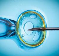  A novel method for predicting pregnancy outcomes in IVF treatment: Deep Inception-ResNet 