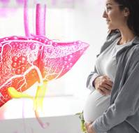 Association of Liver Health in Pregnancy 
