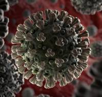 COVID-19 and Kawasaki Disease: Novel Virus and Novel Case