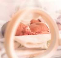 Diagnosis of Neonatal Late-Onset Infection in Very Preterm Infant: Inter-Observer Agreement and International Classifications