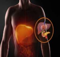 Diagnosis of Alcoholic Liver Disease