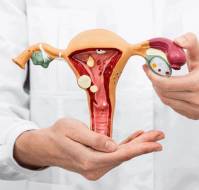 Effectiveness of pap smear via colposcopy and screening potential in premalignant lesions of the cervix