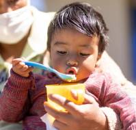 Home-based nutritional intervention program improves the nutritional status of preschool children.