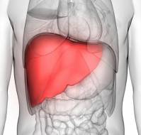 Is Liver Disease the Next Big Lifestyle Disease after Diabetes and Hypertension?