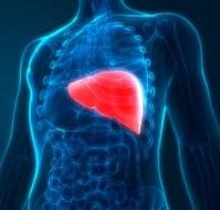 Liver diseases in the Geriatric Population Prevalence, Pathophysiology, and Diagnosis