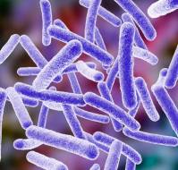 Mendelian Susceptibility to Mycobacterial Disease 