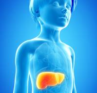 Prevalence of Liver Diseases in Children