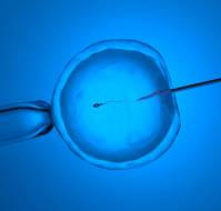 Role of Intracytoplasmic sperm injection in IVF treatments in patients with advanced maternal age or low oocyte number.