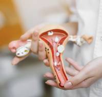 Spontaneous rupture of a bicornuate uterus