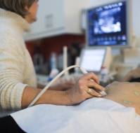 Ultrasonographic Fetal Adrenal Gland Measurement for Predicting Labor Induction Success