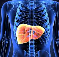 Common Liver Diseases: Causes, Symptoms, and Treatment Options