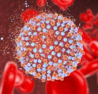 Hepatitis C: Advances in Treatment and Cure