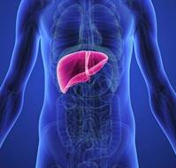 लीवर फेलियर क्या है? कारण, लक्षण और इलाज | What is liver failure in Hindi