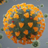 New Coronavirus Variant - IHU 