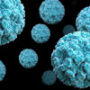 क्या है नोरोवायरस? कारण, लक्षण और इलाज | Norovirus in Hindi