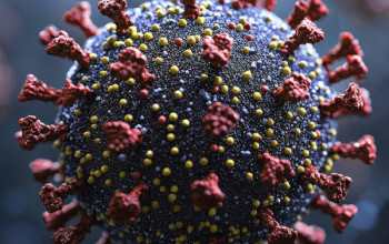 Human Metapneumovirus (HMPV): What Everyone Should Know