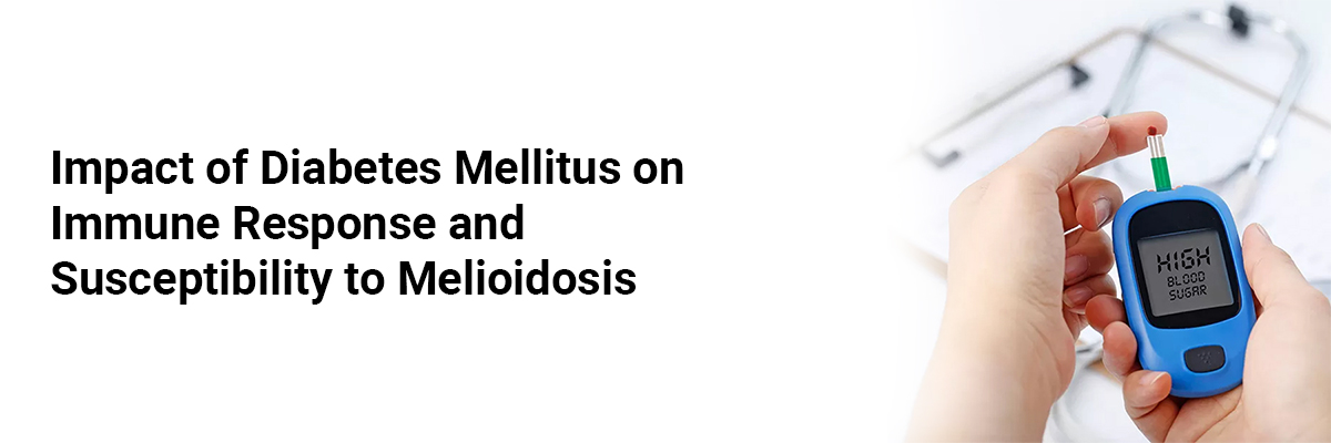 Impact of Diabetes Mellitus on Immune Response and Susceptibility to Melioidosis