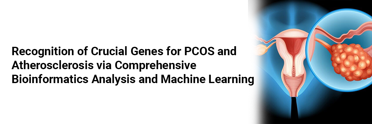 Recognition of Crucial Genes for PCOS and Atherosclerosis via Comprehensive Bioinformatics Analysis and Machine Learning