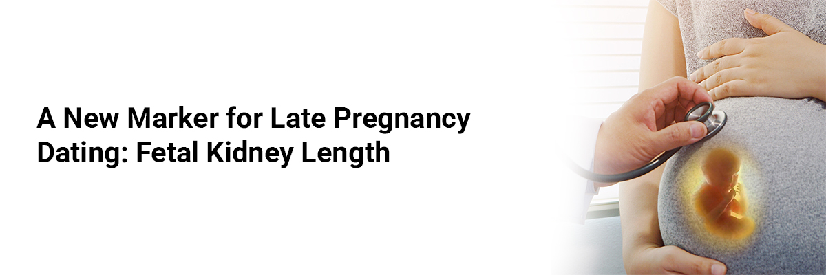 A New Marker for Late Pregnancy Dating: Fetal Kidney Length