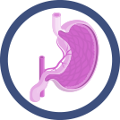 Digestive system icon