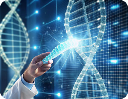 DNA structure representing genetic factors of obesity