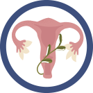 Reproductive system icon