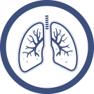 Respiratory icon